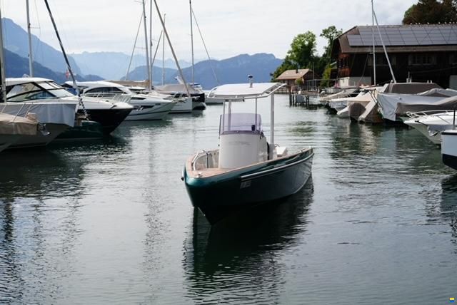 Heinrich Tender08 T-Top