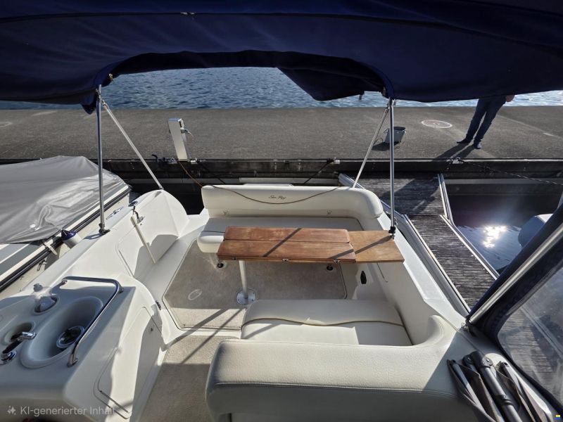 Sea Ray Sundancer 260 SD