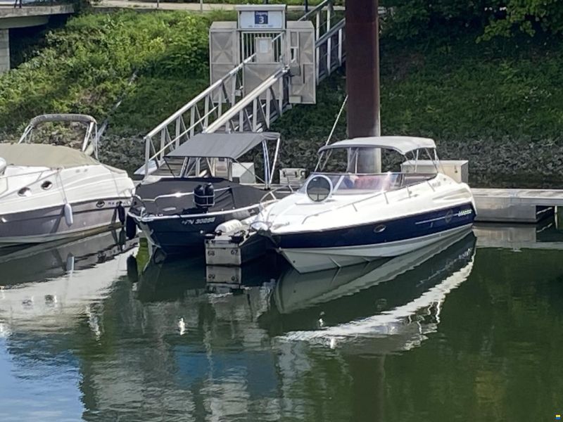 Sunseeker Hawk 31