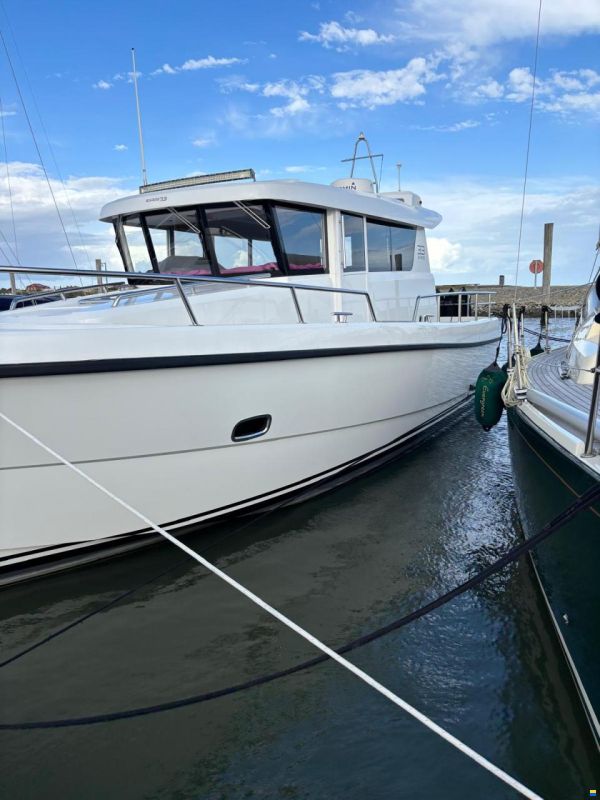 Sargo 33