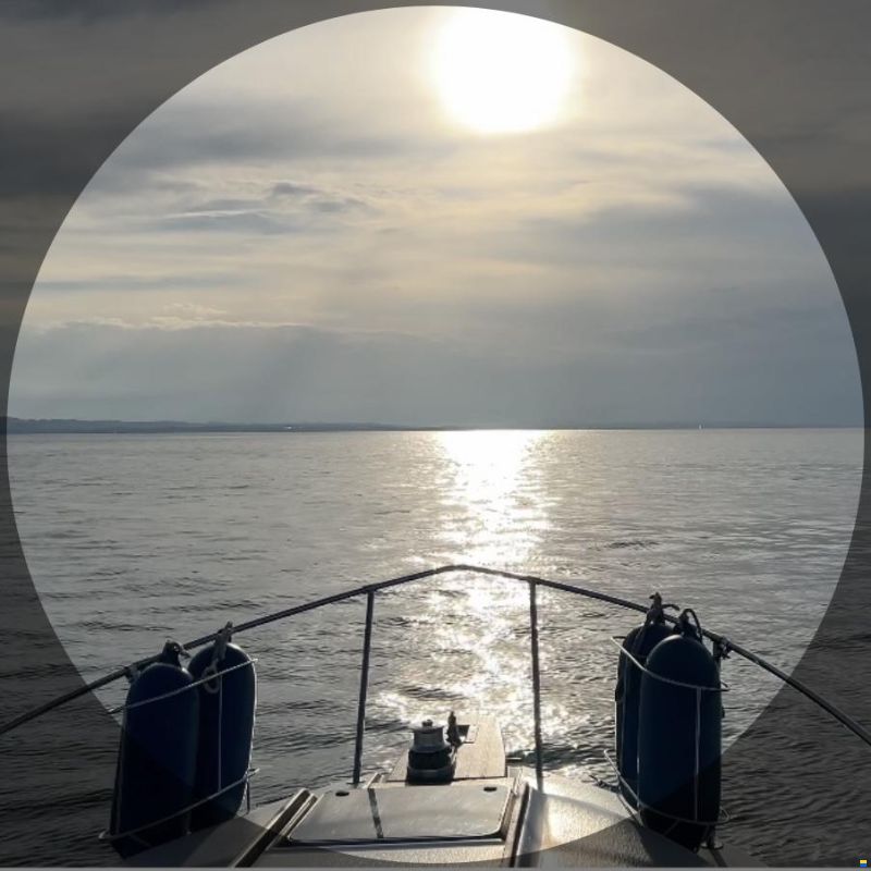 Sea Ray - Sundancer 250