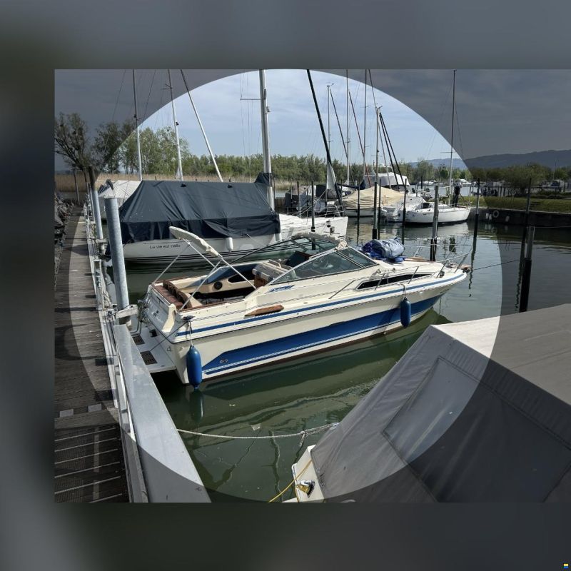 Sea Ray - Sundancer 250