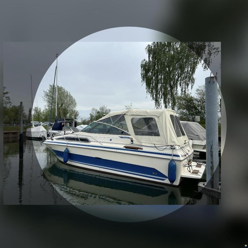 Sea Ray - Sundancer 250