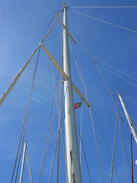 Oyster 37