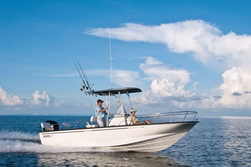Boston Whaler 210 Montauk