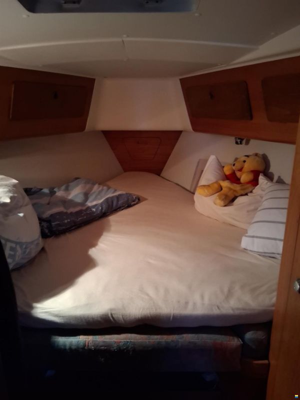 Marine Projects Moody 336