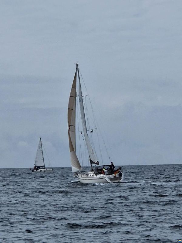 Marine Projects Moody 336