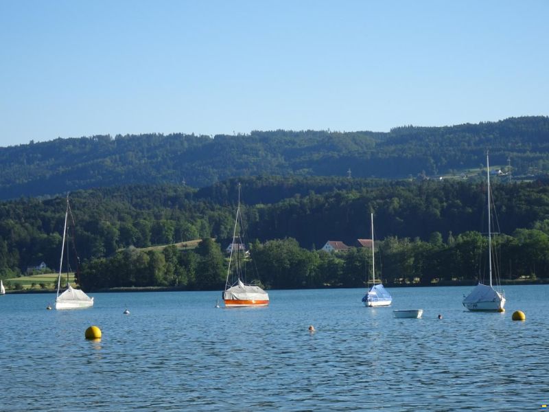 Bojenplatz f&uuml;r Segeljacht Greifensee