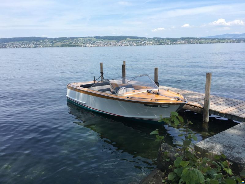 Guggisberg Silbermöwe