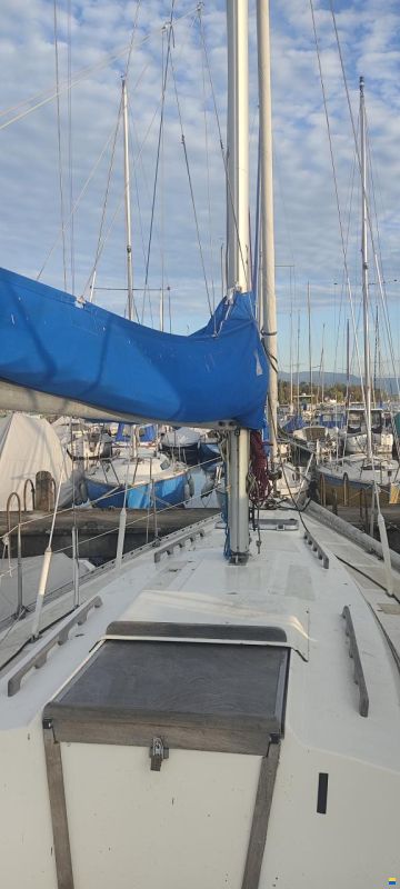 Colvic UFO 34 Z 88 (1982)