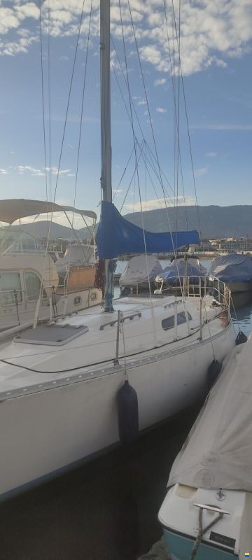 Colvic UFO 34 Z 88 (1982)