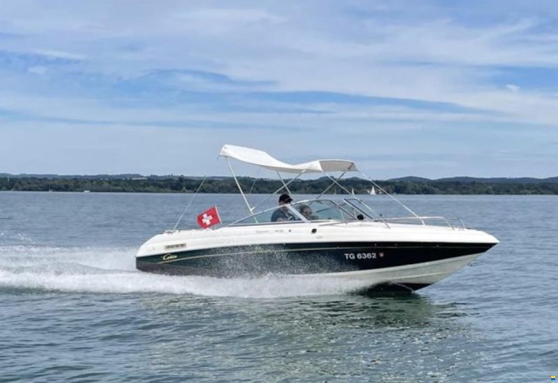 Cobia Challenger