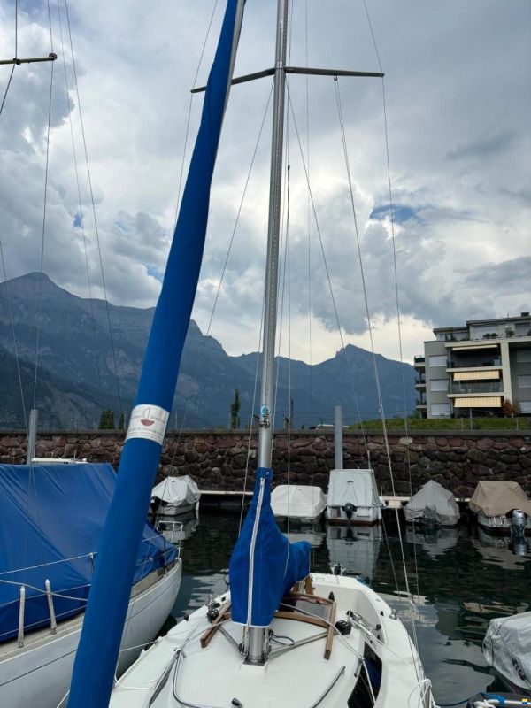Frauscher h26