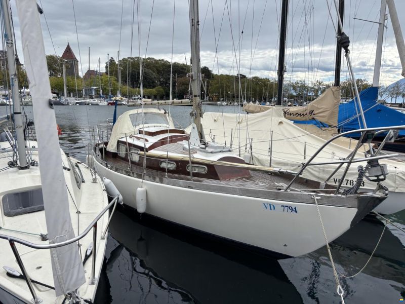 Anne Wever Trintella 1
