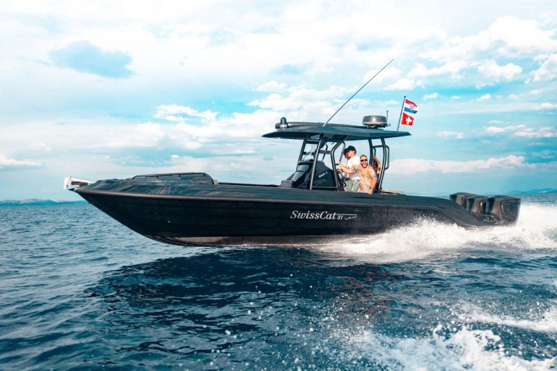 Swiss Cat 31