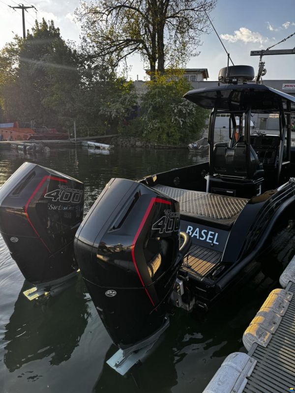 Swiss Cat 31