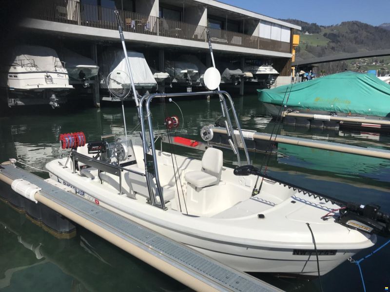 Quicksilver 500 Fish