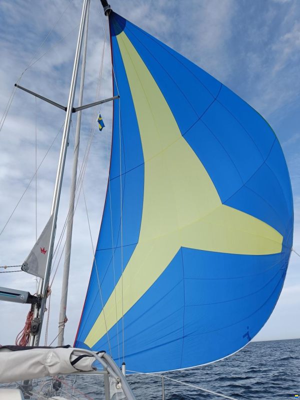 Maxi 34