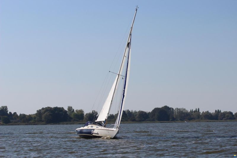 1977 Passad, EUR 19,800