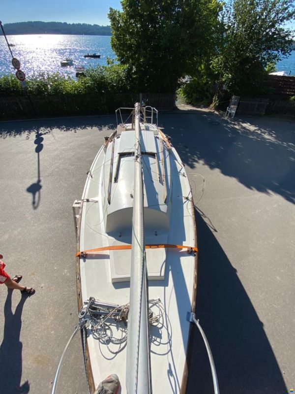 Shark24