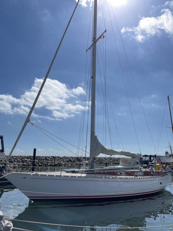Wilenus 38