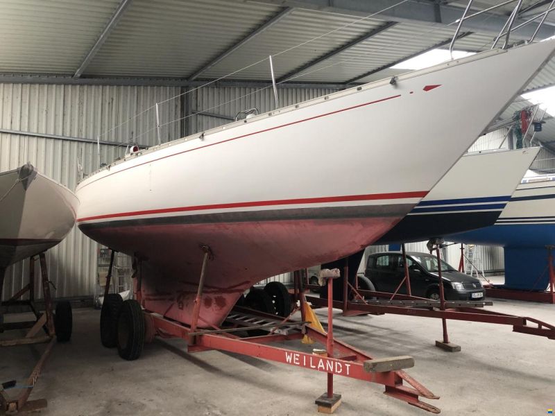 Wilenus 38
