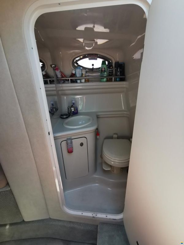 Sea Ray Sundancer 260
