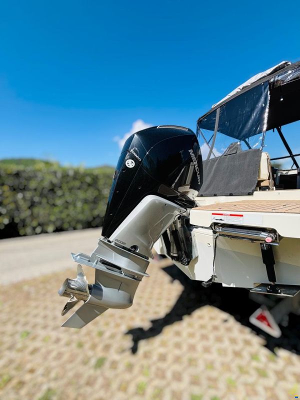 Quicksilver Activ 755 Cruiser