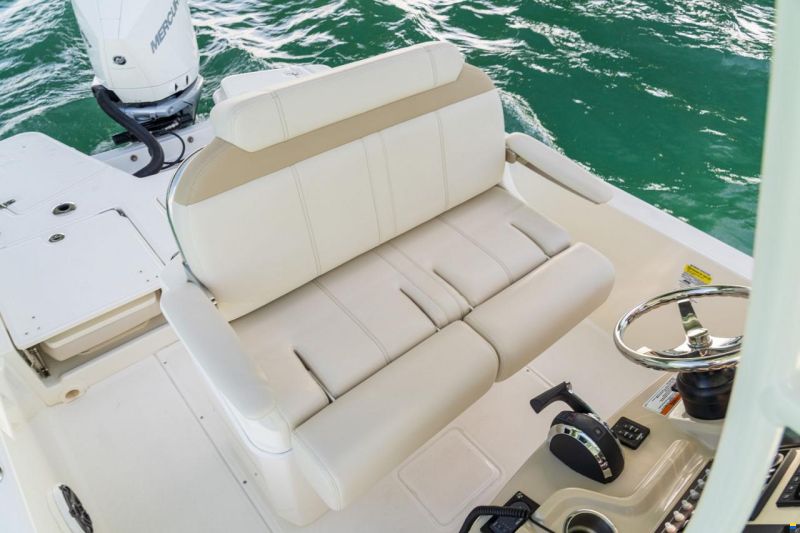 Boston Whaler 250 Dauntless