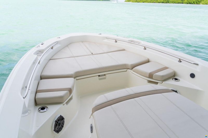 Boston Whaler 250 Dauntless