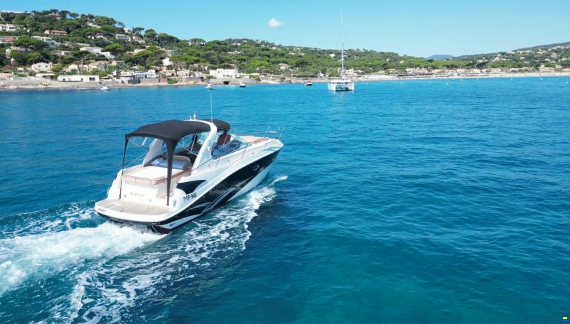Viper V303