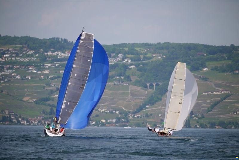 Maxi Dolphin Ten PF 32''