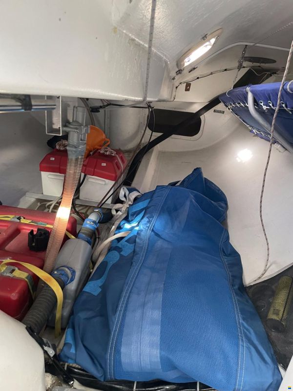 Maxi Dolphin Ten PF 32''