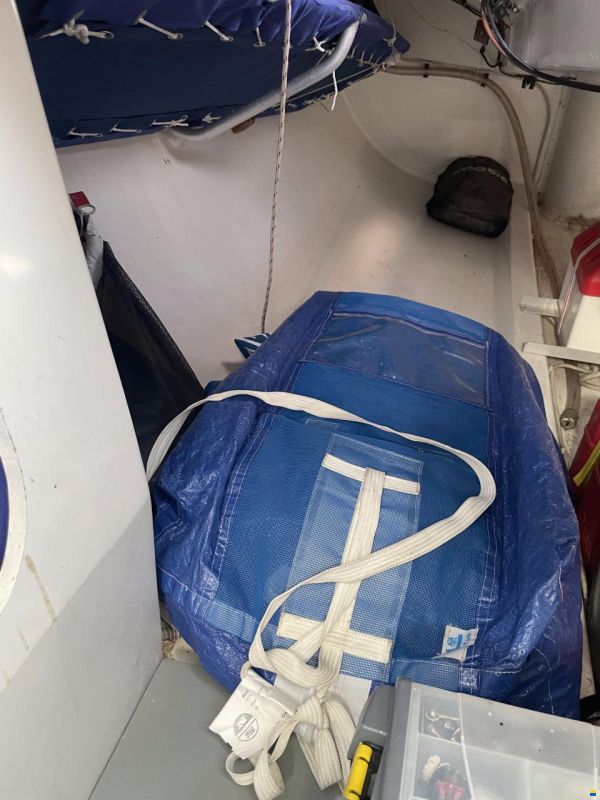 Maxi Dolphin Ten PF 32''