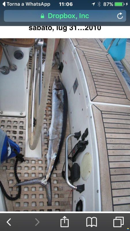Baltic CC51