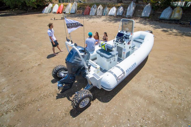 Sealegs 6.1M SPORT RIB
