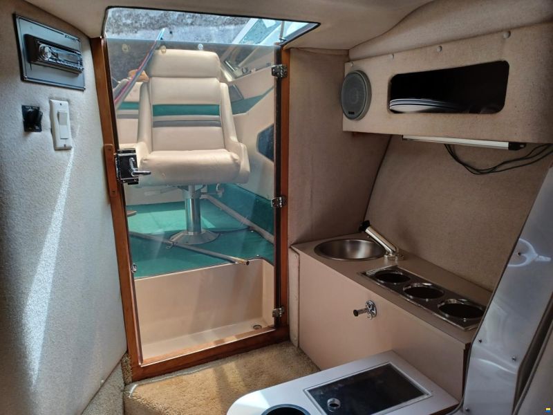 Cruisers 2500 Rogue 25 SP