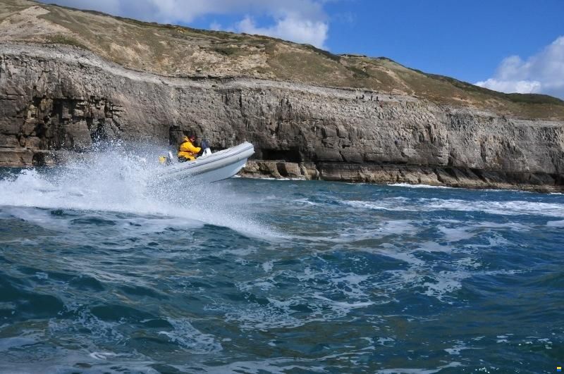 3D Tender XPRO RIB Aluminium reinforced 420