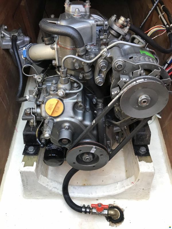 Dynamic 35
