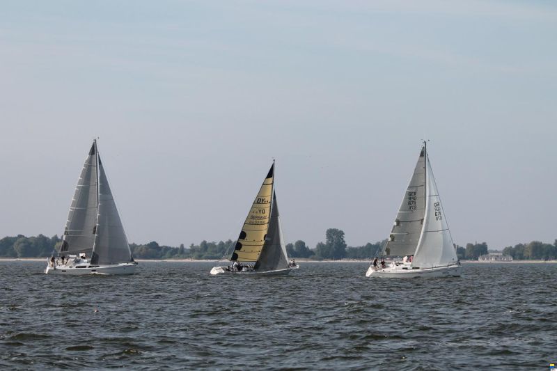 Dynamic 35 RC