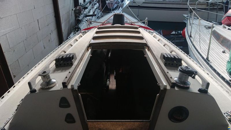 Dynamic 35 RC
