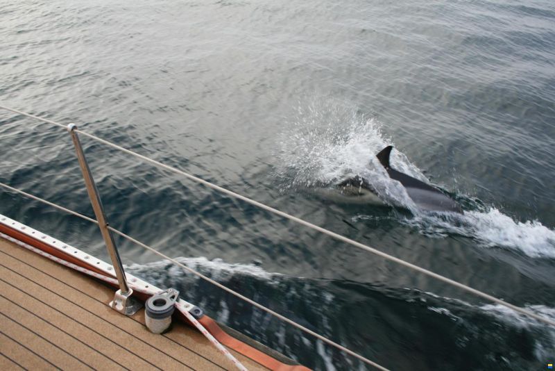 Benjamins Alu Yacht One Off 43 Blank Design
