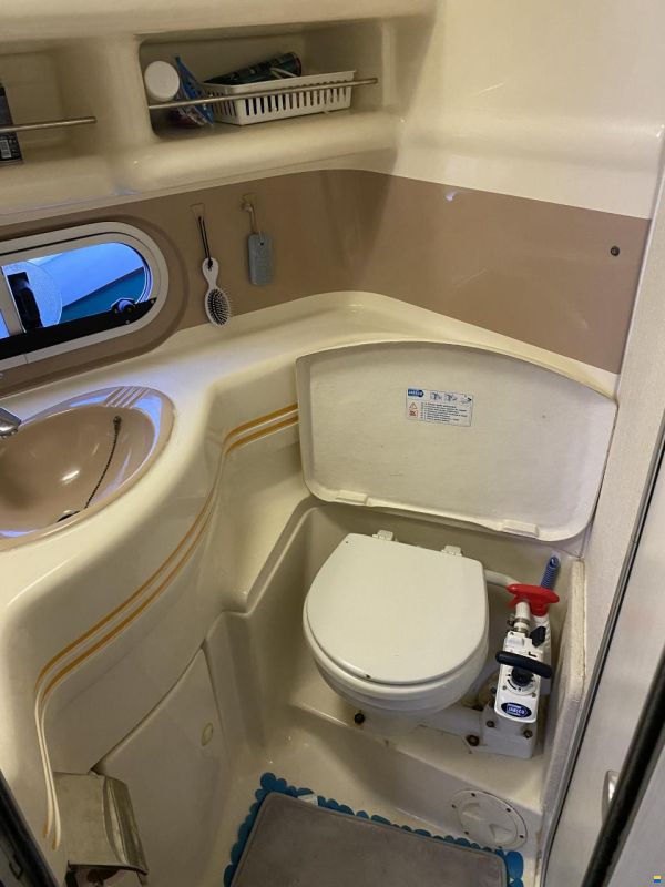 Sealine 350 Fly