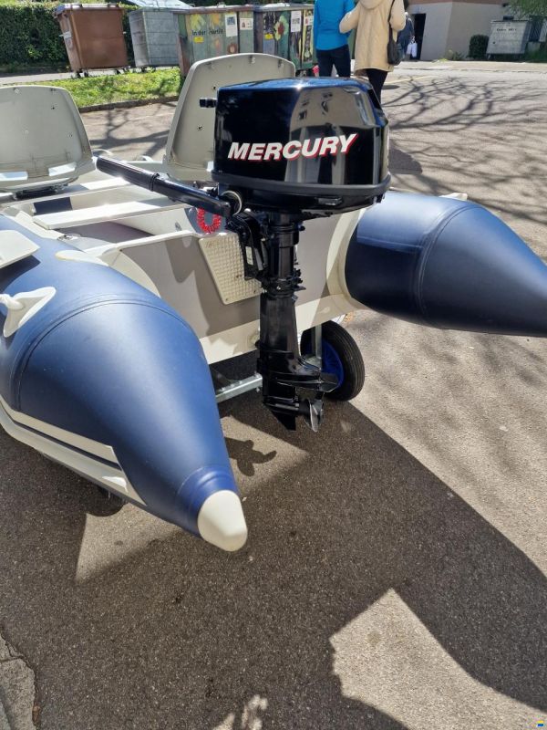 Prowake AL 330+Mercury 6PS