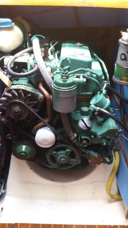 Carter 30
