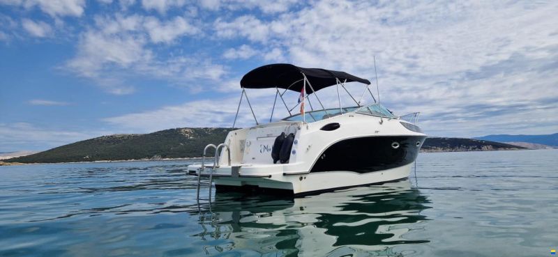 Bayliner 255 / 245