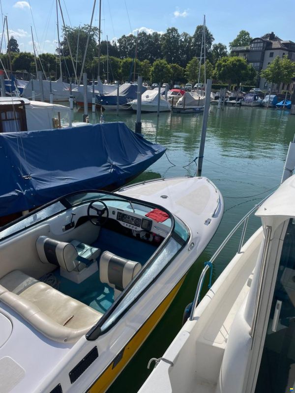 Tullio Abbate Sea Star