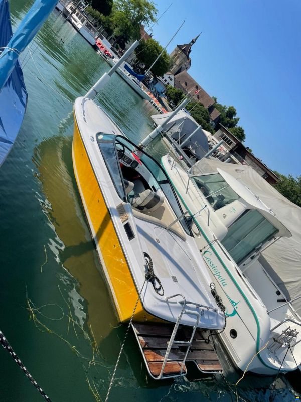 Tullio Abbate Sea Star