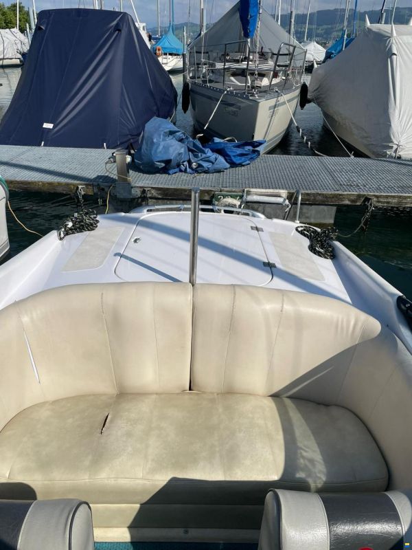 Tullio Abbate Sea Star