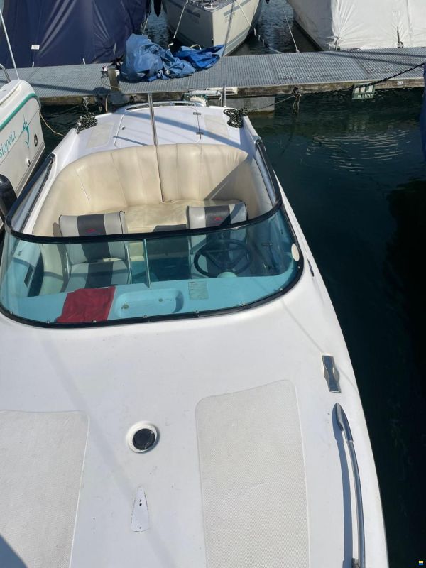 Tullio Abbate Sea Star